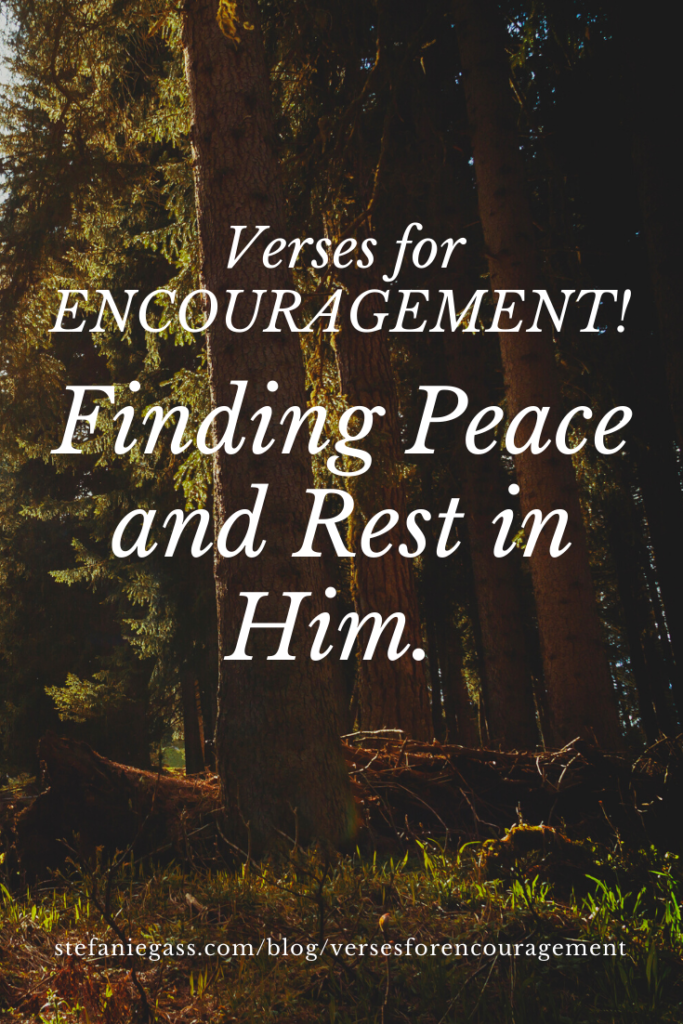 Bible verses to lift you up in encouragement and peace.
