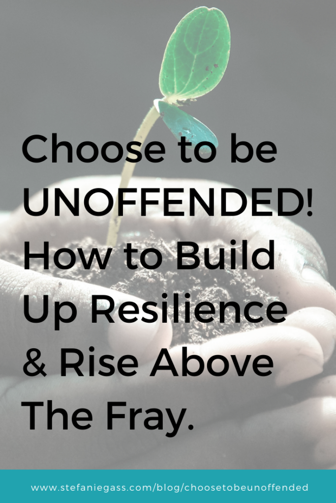 Choose to be UNOFFENDED! How to Build Up Resilience & Rise Above The Fray. Building a kingdom business for God's glory starts with building resilience to the world and leaving the stuff that doesn't matter at the door!