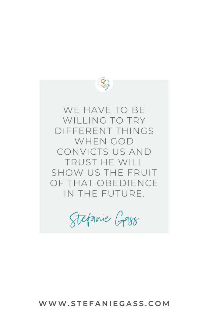 text reads we have to be willing to try different things when God convicts us and trust he will show us the fruit of that obedience in the future. By Stefanie Gass.