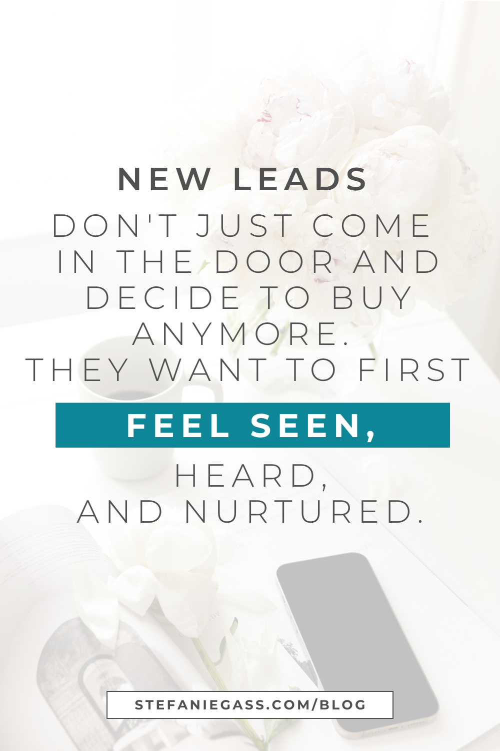 Image text reads: New leads don't just come in the door and decide to buy anymore. They want to first feel seen, heard, and nurtured. Stefanie Gass Blog
